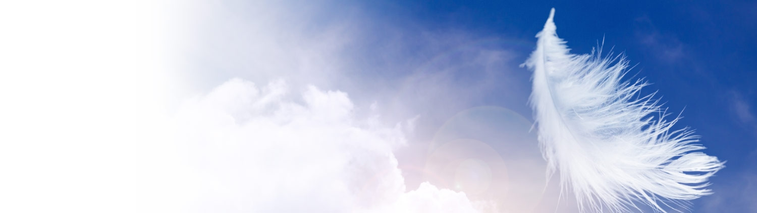 White feather floating in blue sky with bright white clouds.