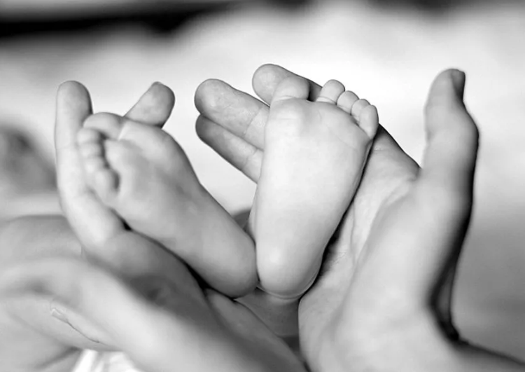 Our Lady’s Inn Participates in Maternity Home Study Our Lady